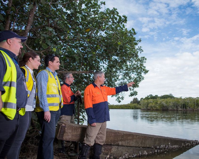 A group of six people wearing high-visibility vests and work uniforms stand near the edge of a calm body of water, looking out over the landscape. One person in an orange and navy work shirt points towards the distance, while the others observe. The setting includes lush green trees, mangroves, and a partly cloudy sky