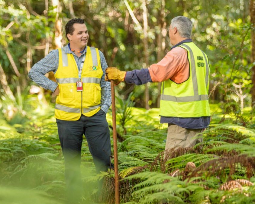 Two QAL employees in high-visibility vests standing among ferns in a forest, engaged in conversation during an environmental site visit.